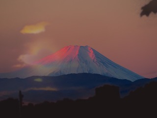 546500