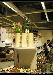 299312959IMG_2991