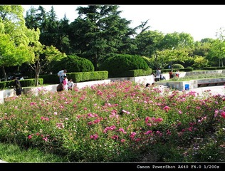 325749482IMG_3585