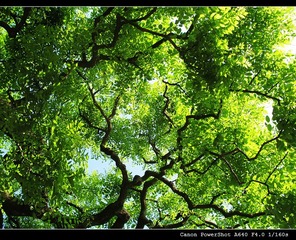 325750612IMG_3591