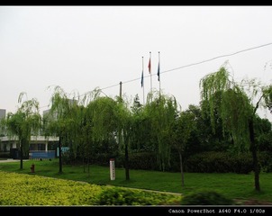 410990990IMG_3889