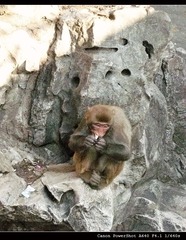 325748051IMG_3566