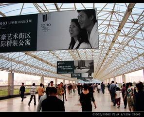 316672445P5080096