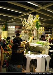 299323540IMG_2990