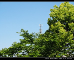 325749229IMG_3584