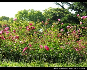 325750303IMG_3592