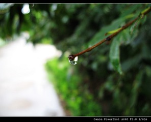 410988710IMG_3852