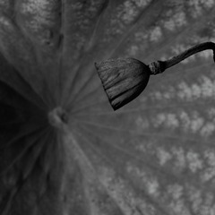 CB5806FE-0E02-48EC-B6A2-C165478A0117/L0/001
