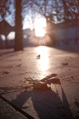 A629103A-55D0-4485-A8CD-24E2031071E6/L0/001