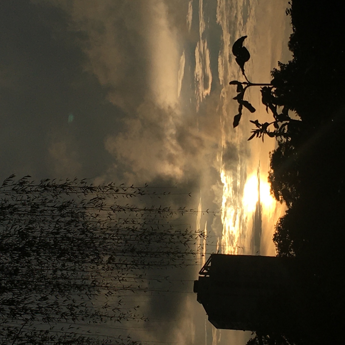 日暮黄昏的宁静让我们领悟人生的平静和淡泊没有哀伤只有温柔和希望