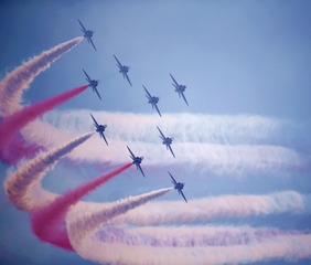 3C33350B-0F9E-4FCD-8E66-4243F2B34083/L0/001