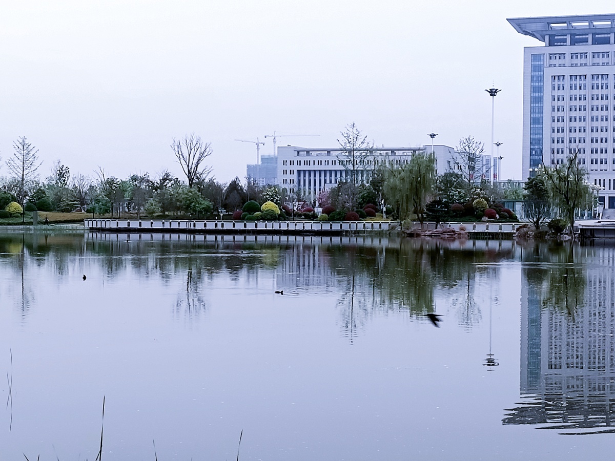 走一趟咱渭南的人民公园人民公园位于渭南市政府大楼前这里小桥流水