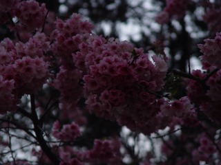 45C084E2-79F2-4A40-BD0F-CB642E58A9B7/L0/001