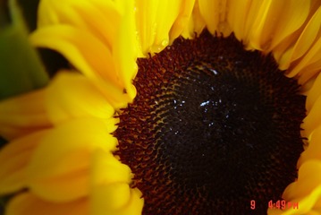 1043686