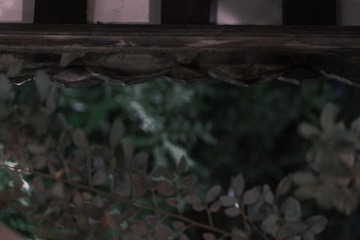 124565