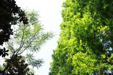 2536C3BD-099F-4BCB-86B2-4E05C2B1E8FA/L0/001