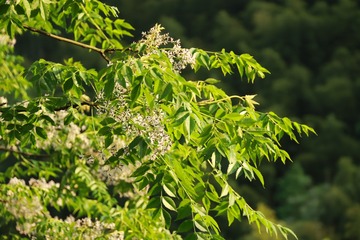 83670ED7-F814-4D0E-9447-D922A9107A46/L0/001