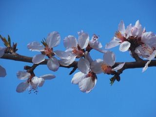 B8D64E46-991A-4555-BA18-51B71F131826/L0/001