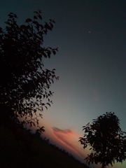 A6538C01-F970-48EC-ABBF-4A1EEFC32FBC/L0/001