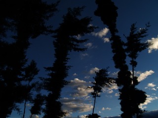 09CB521E-3F57-4235-B280-A6E4F44E7758/L0/001