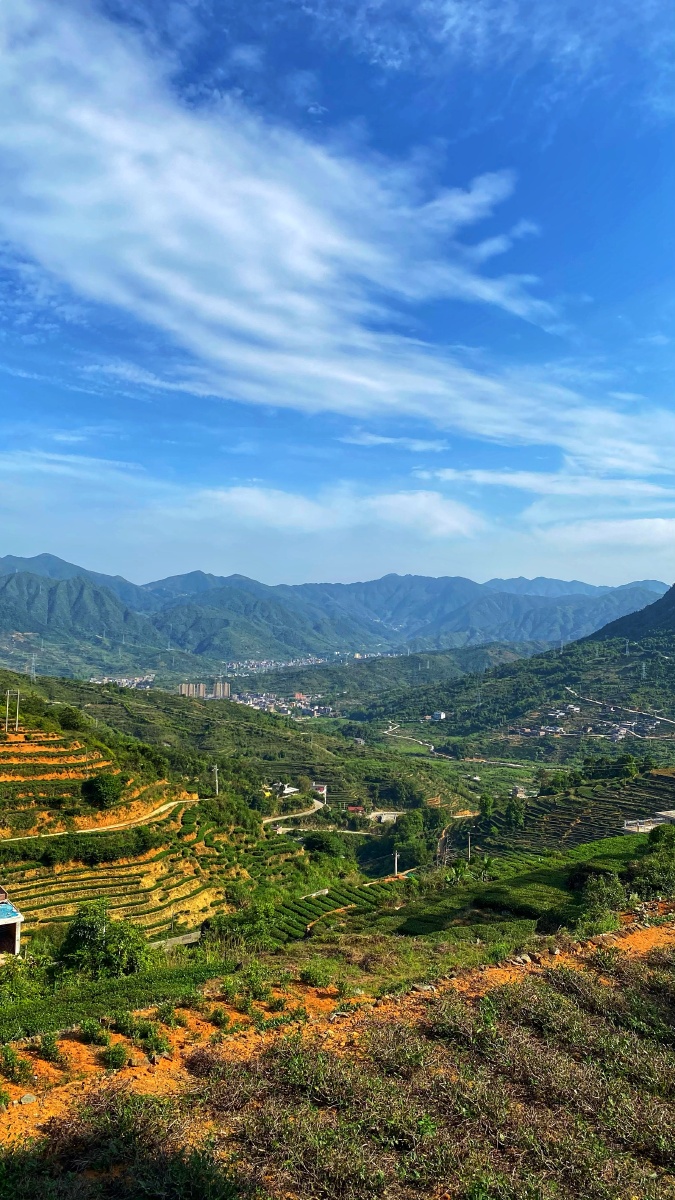 茶山风景