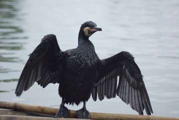728464