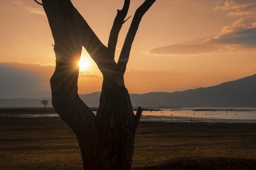 F9E62651-F373-4C20-877E-A61770084042/L0/001