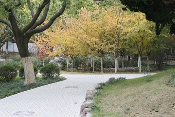 小道