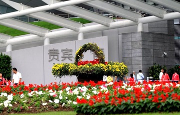 国庆花卉