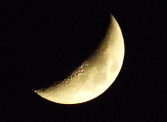 BB8FA390-C82B-4E14-BE81-474AB9B3E766/L0/001