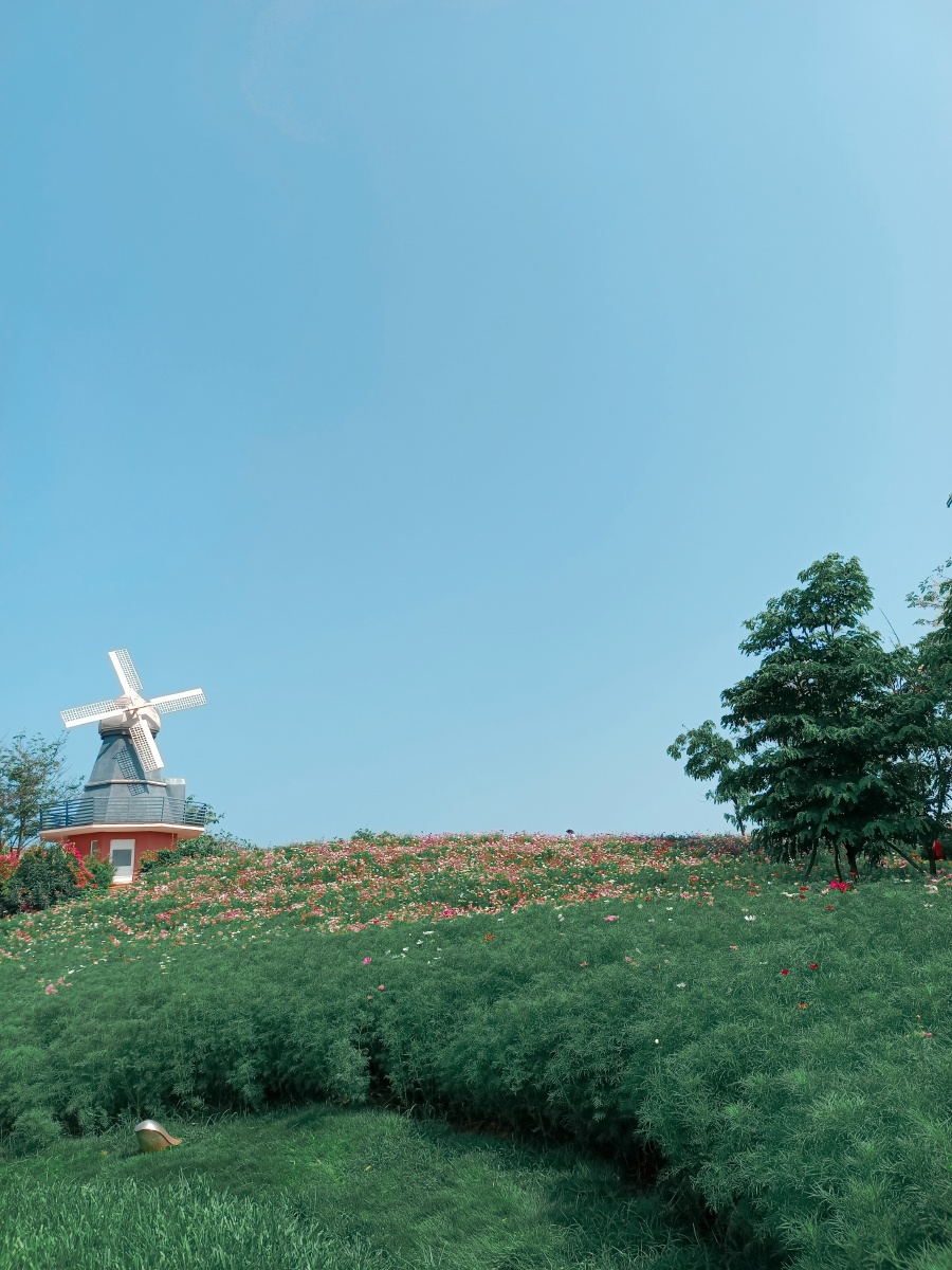 中国海花岛里的风景