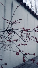 CB18BB81-C754-4FA7-832C-BBB055DBC707/L0/001