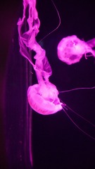 7F82735B-7641-480C-8374-C464D4479F90/L0/001