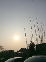 EC2F852D-C75E-4755-A6A3-26ED7ADA7C75/L0/001