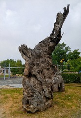 3363614