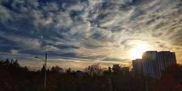 3385938