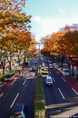 20111121_102725.jpg