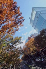 20111121_102944.jpg