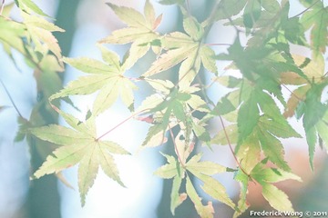 20111125_120549.jpg
