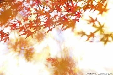 20111125_123935.jpg