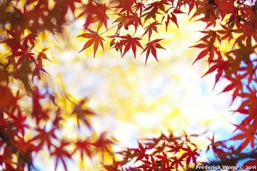 20111125_124822.jpg