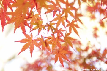 20111125_124951.jpg