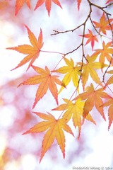 20111125_125523.jpg