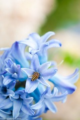 20120316_121512.jpg