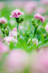 20120316_122217.jpg