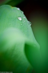 20120316_123758.jpg