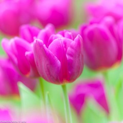 20120316_124423.jpg
