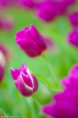 20120316_124625.jpg