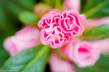 20120316_125938.jpg