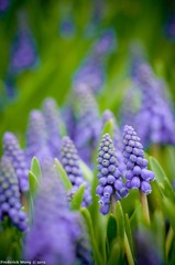 20120316_130055.jpg